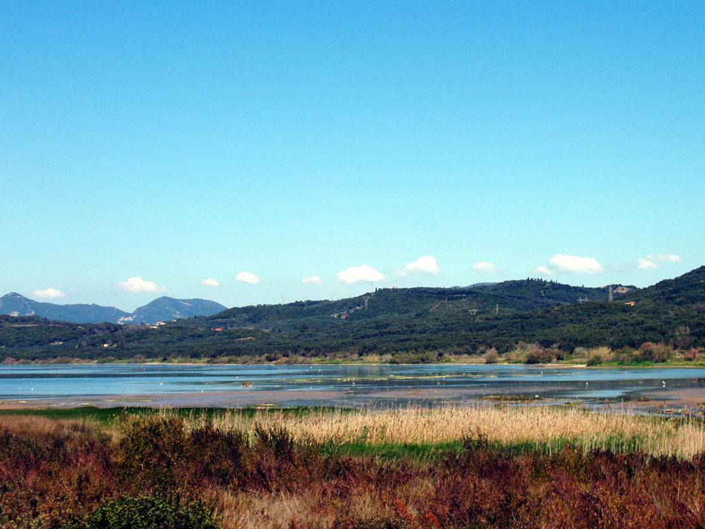 Εξόρμηση στη φύση την 25η Μαρτίου