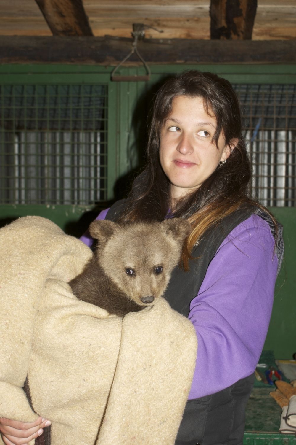 Και δεύτερο ορφανό αρκουδάκι βρέθηκε στα Τρίκαλα