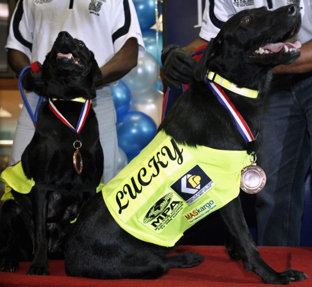 Εάν σας μπερδεύουν οι ρυθμίσεις του firewall, βάλτε τον Αυτόματο Πιλότο