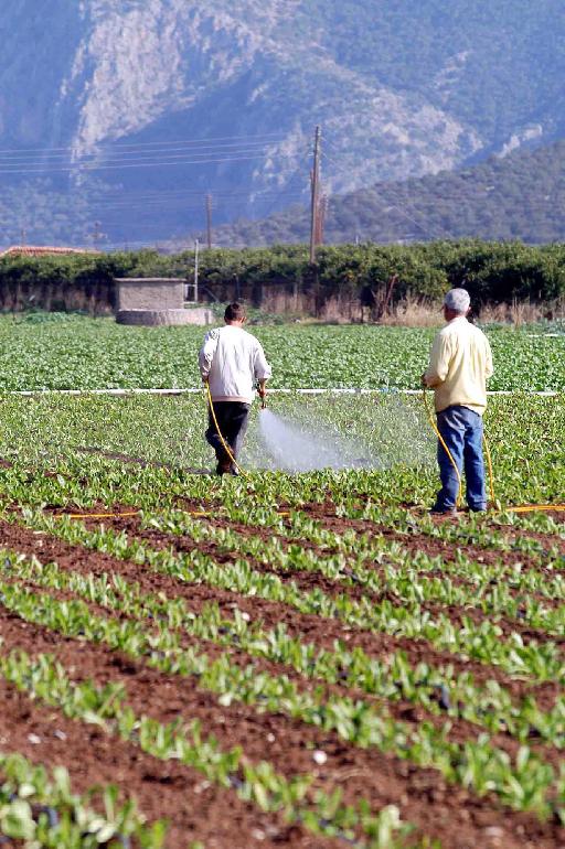 Τα παρασιτοκτόνα μειώνουν τον δείκτη νοημοσύνης των παιδιών