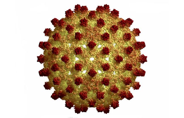 Βάσιμες ελπίδες για πλήρη ίαση της ηπατίτιδας C