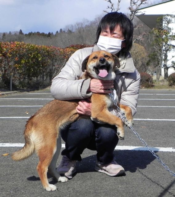 Σκύλος επιζών του τσουνάμι επανενώθηκε με την οικογένειά του