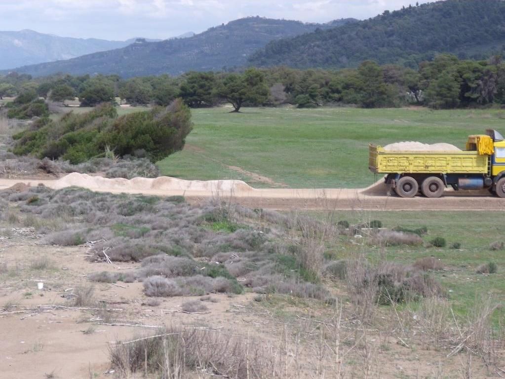 Σε κίνδυνο η δεύτερη σημαντικότερη παραλία ωοτοκίας της Καρέττα Καρέττα στη Μεσόγειο