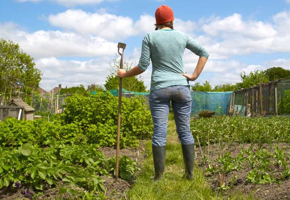 Kitchen gardening ή αλλιώς ένας λαχανόκηπος στο μπαλκόνι μας!
