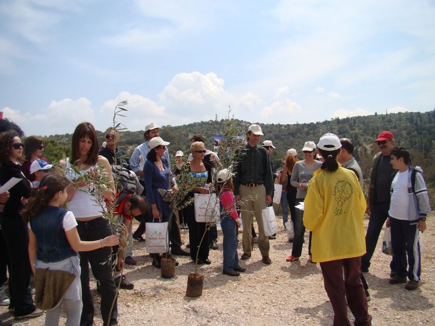 Δενδροφύτευση 100 ελαιοδέντρων στο λόφο Φιλοπάππου