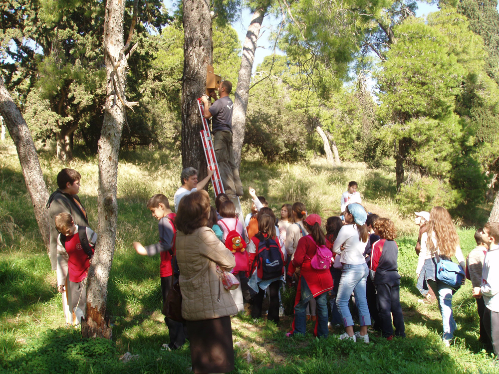 24 Μαΐου Ευρωπαϊκή Ημέρα Πάρκου : Γιορτάζοντας τα λιγοστά πάρκα της Αθήνας