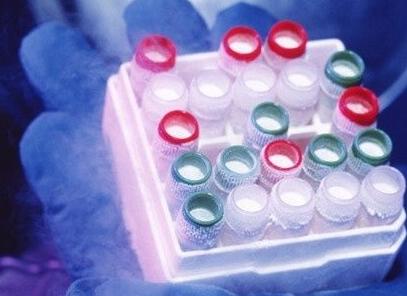 Δικαστικά εμπόδια στην ευρωπαϊκή έρευνα για τα βλαστικά κύτταρα