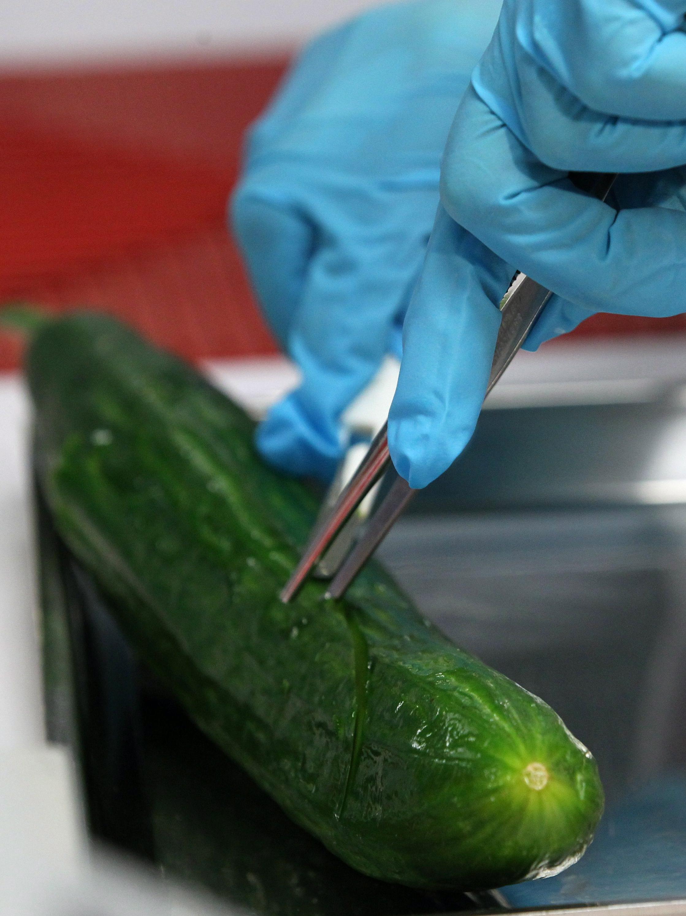 Στους 14 οι νεκροί στη Γερμανία από την κατανάλωση μολυσμένων αγγουριών