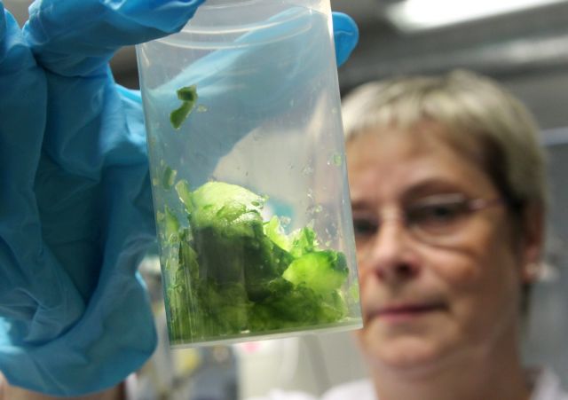 Θάνατος από αιμορραγική γαστρεντερίτιδα στη Σουηδία, αυξάνονται τα κρούσματα