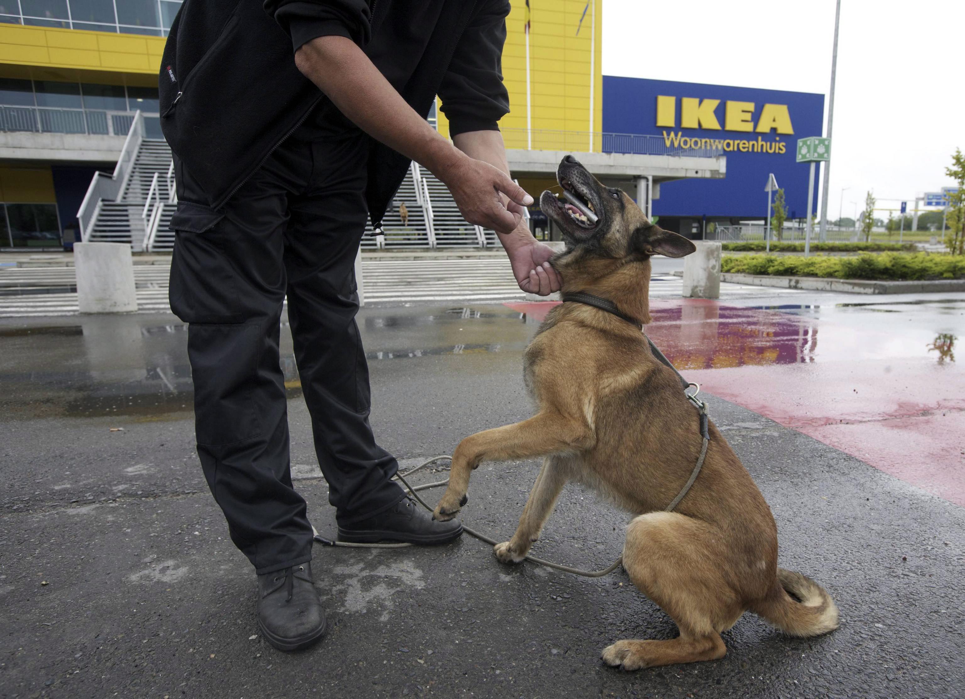 Εκρήξεις μικρής ισχύος σε καταστήματα της ΙΚΕΑ σε Γαλλία, Ολλανδία και Βέλγιο