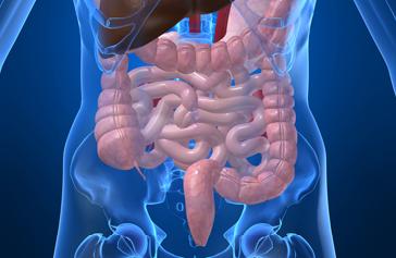 Ανάγκη δημιουργίας κέντρων αναφοράς για τα Ιδιοπαθή Φλεγμονώδη Νοσήματα του Εντέρου