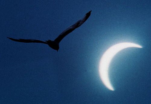 Αλλόκοτη ηλιακή έκλειψη ξεκινά την Πέμπτη και λήγει μια μέρα νωρίτερα