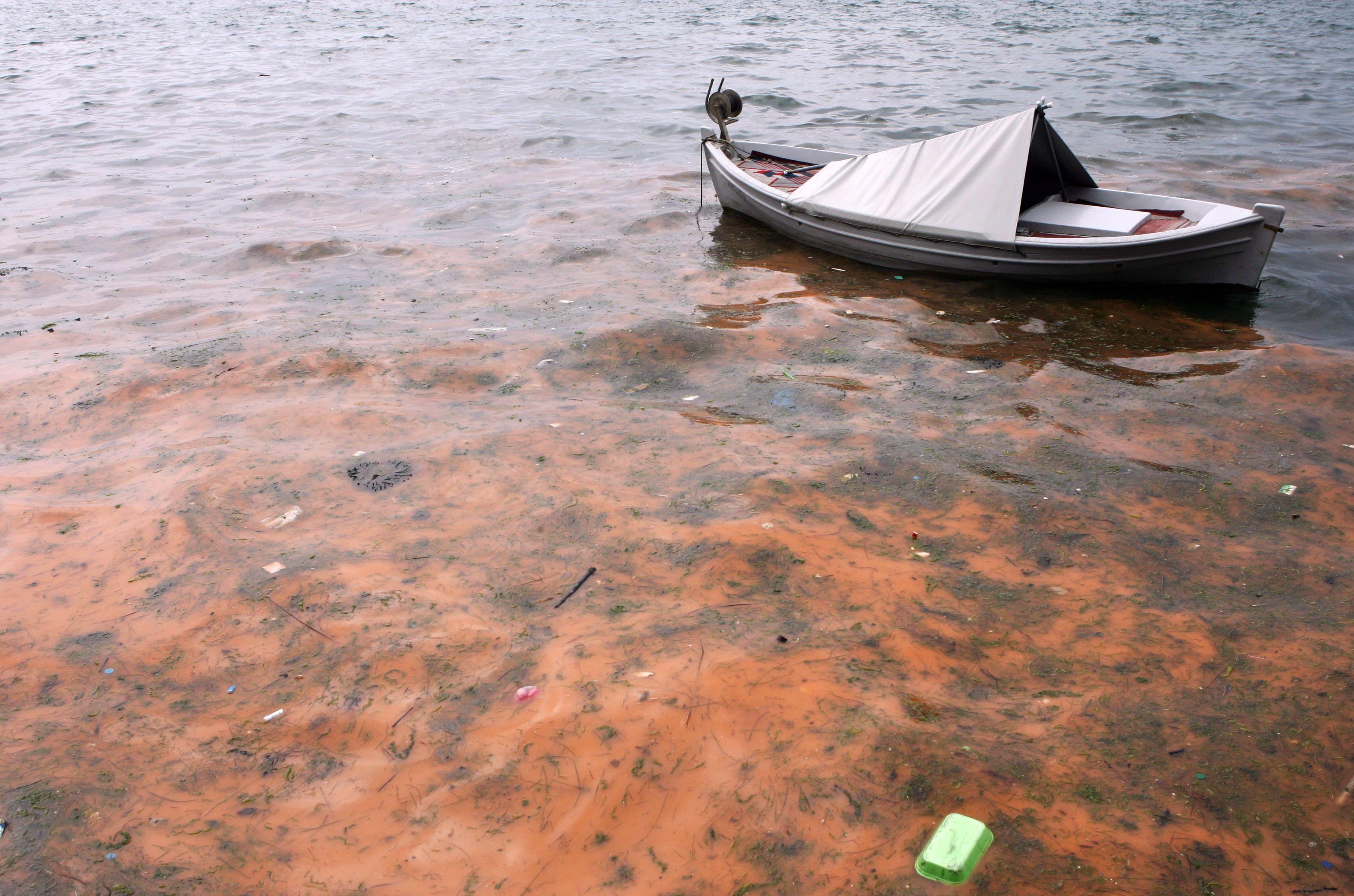 Μια ακόμα κόκκινη παλίρροια χρωματίζει τα νερά της Θεσσαλονίκης
