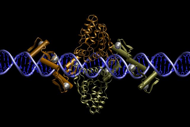 Νέα γονιδιακή θεραπεία διορθώνει τις βλάβες επιτόπου