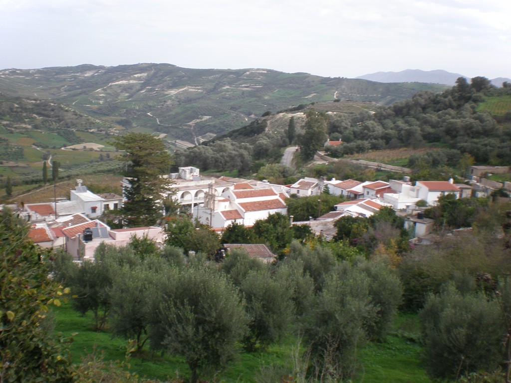 Ο Σύλλογος Γυναικών Δήμου Παλιανής «Η άμπελος»