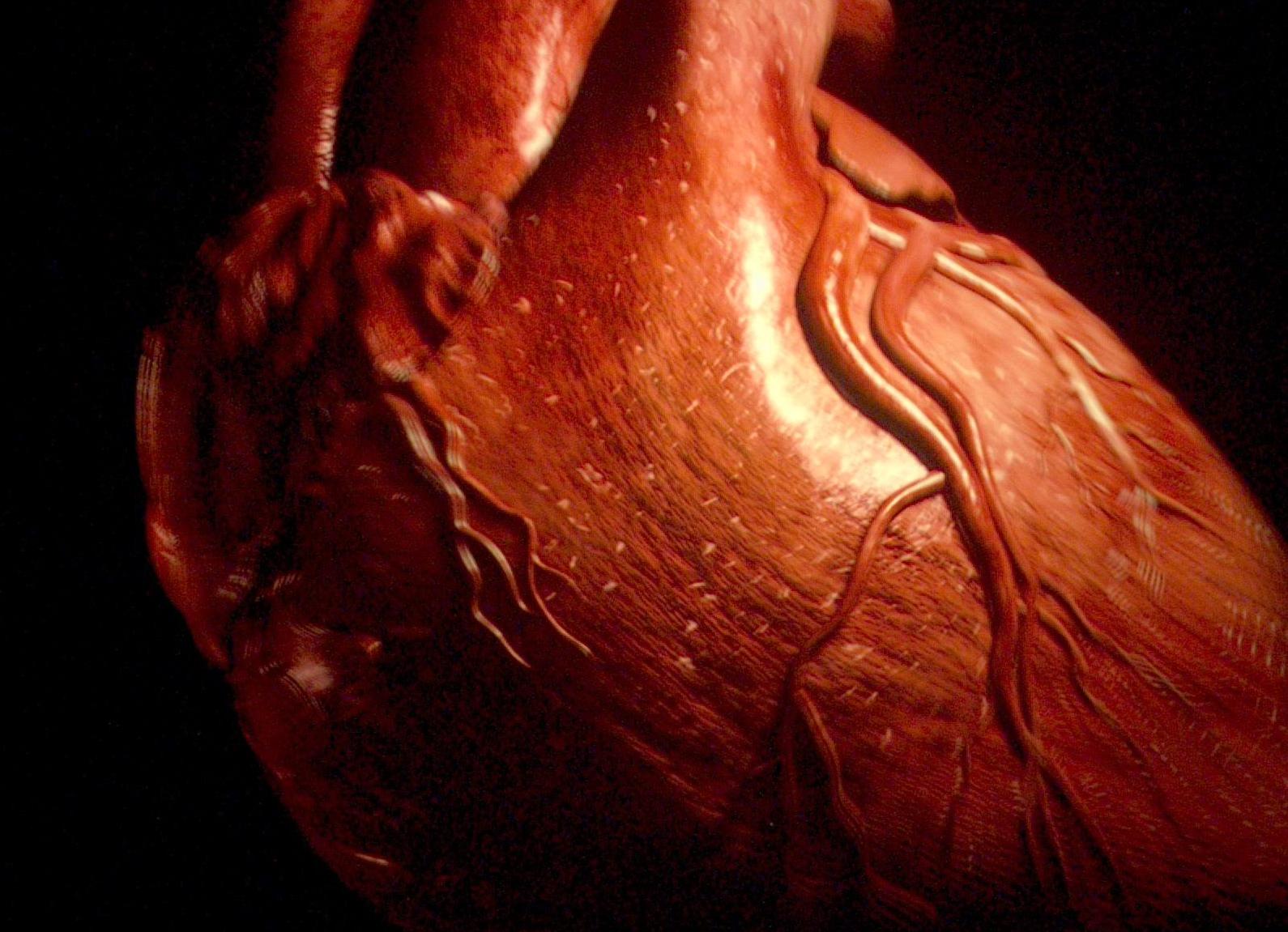 Πειραματικό φάρμακο αναγεννά την καρδιά, τουλάχιστον στα ποντίκια