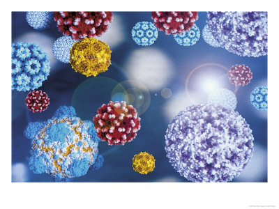 Φάρμακο κατά της οστεοπόρωσης εξοντώνει τους ιούς της γρίπης