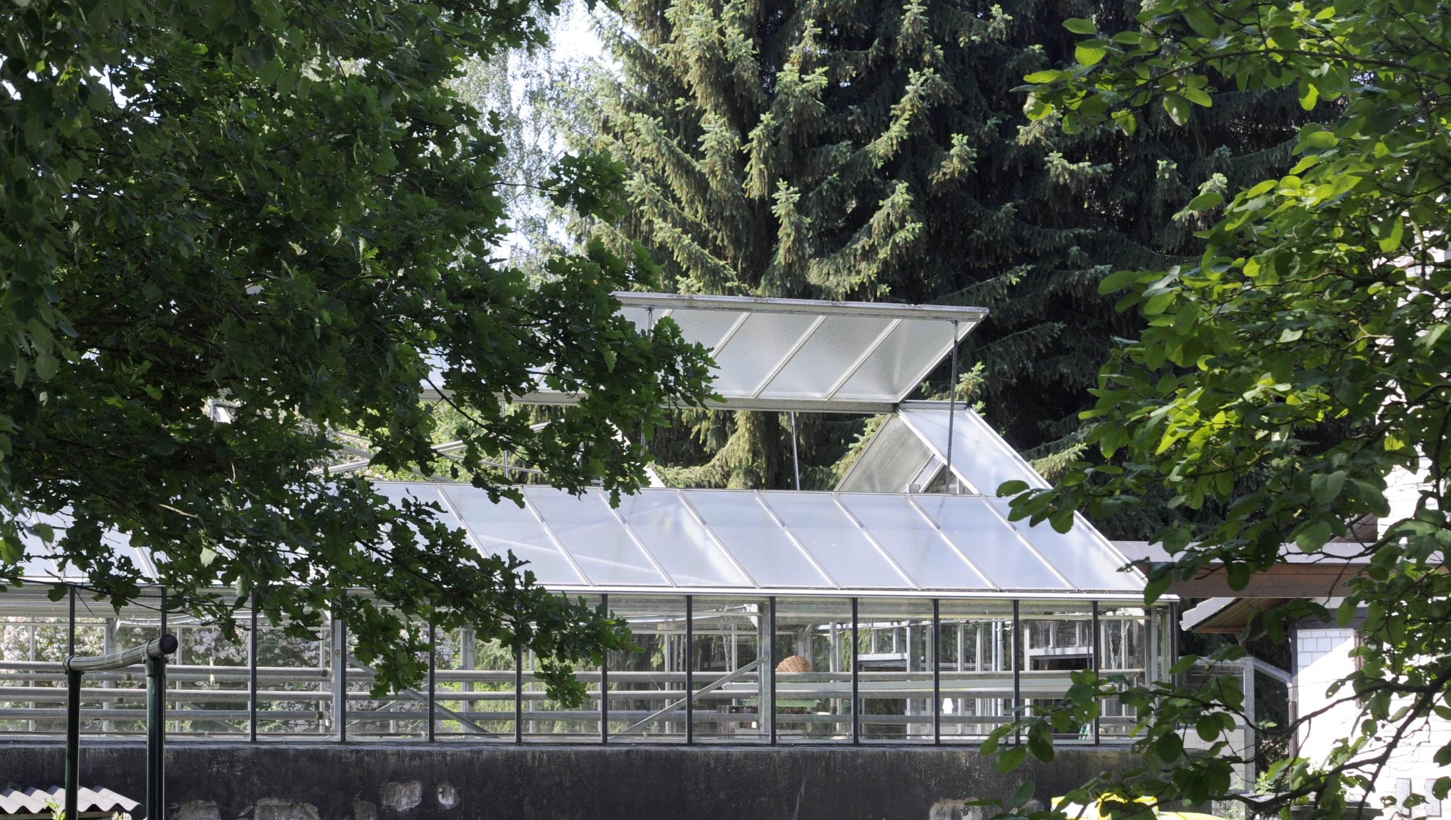 Στο μικροσκόπιο των Γερμανών φάρμα, ύποπτη για την προέλευση επιδημίας Ε.coli