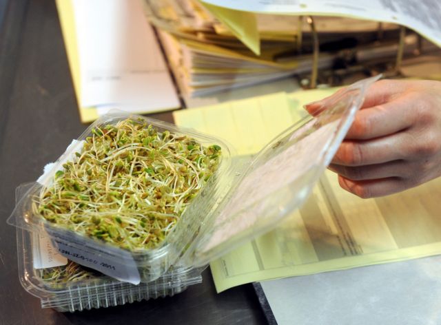 Διαφορετικό στέλεχος παθογόνου E.coli βρέθηκε σε ολλανδικά φύτρα