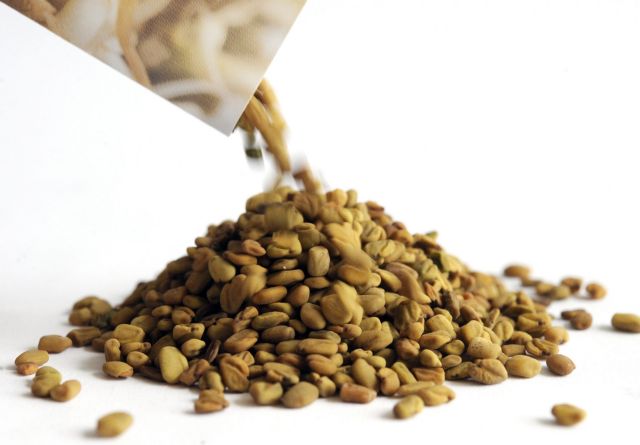 Σε σπόρους από Αίγυπτο αποδίδονται τώρα οι ευρωπαϊκές επιδημίες E.coli