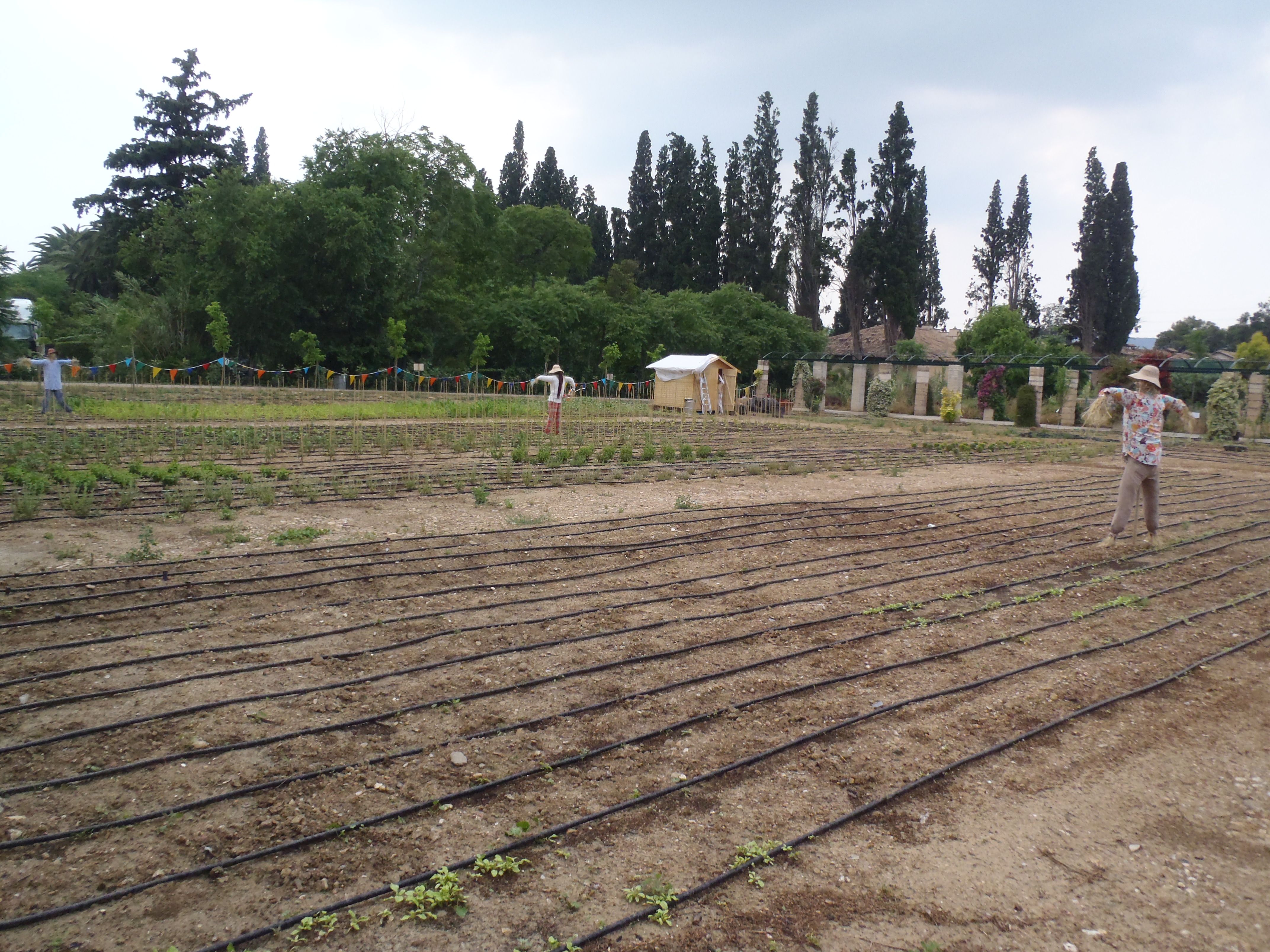 Περιβαλλοντική Κοινωνική Νοημοσύνη: Ζώντας σε αρμονία με το περιβάλλον