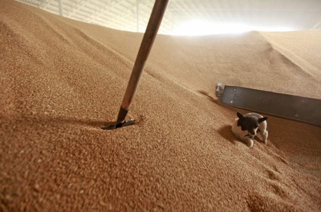 Υψηλές θα παραμείνουν οι τιμές των τροφίμων έως το 2012, λέει ο FAO