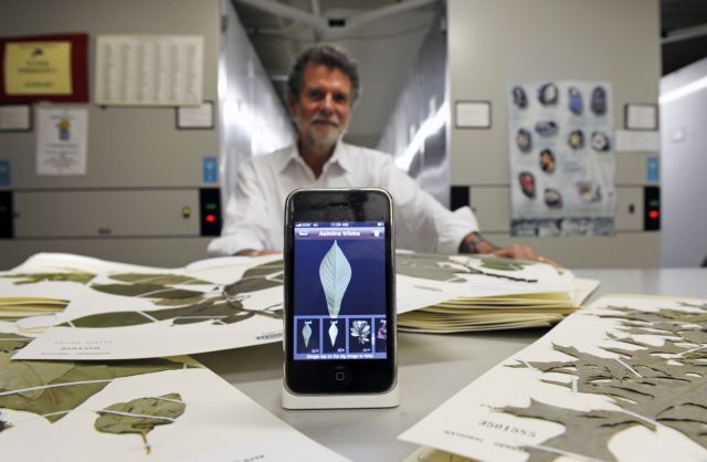 Επιστημονική εφαρμογή για κινητά αναγνωρίζει τα είδη δέντρων