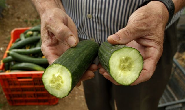 «Προστατέψτε τη φήμη των ελληνικών λαχανικών από το φόβο του E.Coli», λένε οι εξαγωγείς