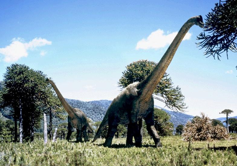 Θερμομέτρηση στους δεινόσαυρους δείχνει ότι ήταν θερμόαιμοι