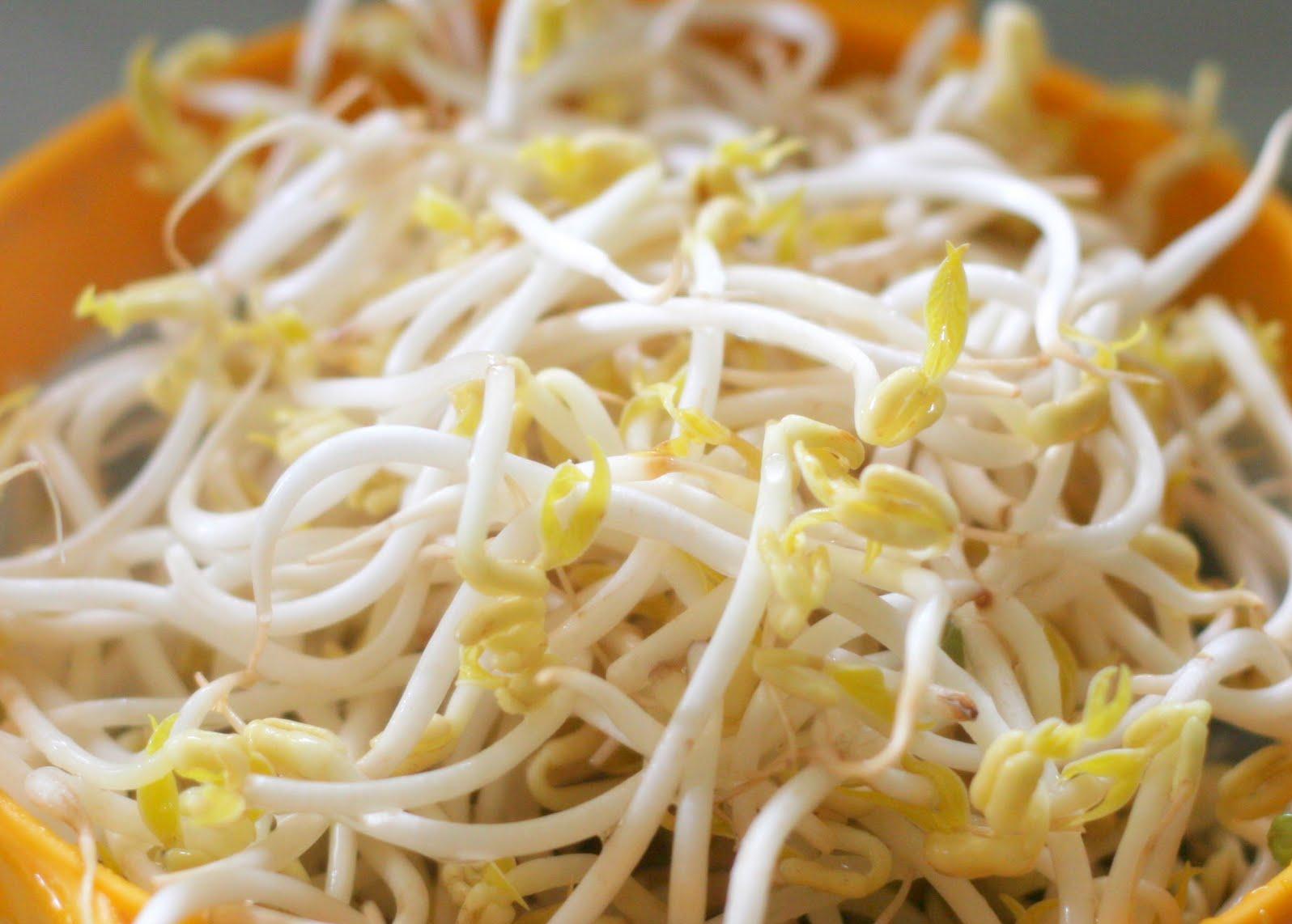 Σταθεροποιείται η επιδημία E.coli, σε γερμανικά λαχανικά στρέφονται τώρα οι υποψίες