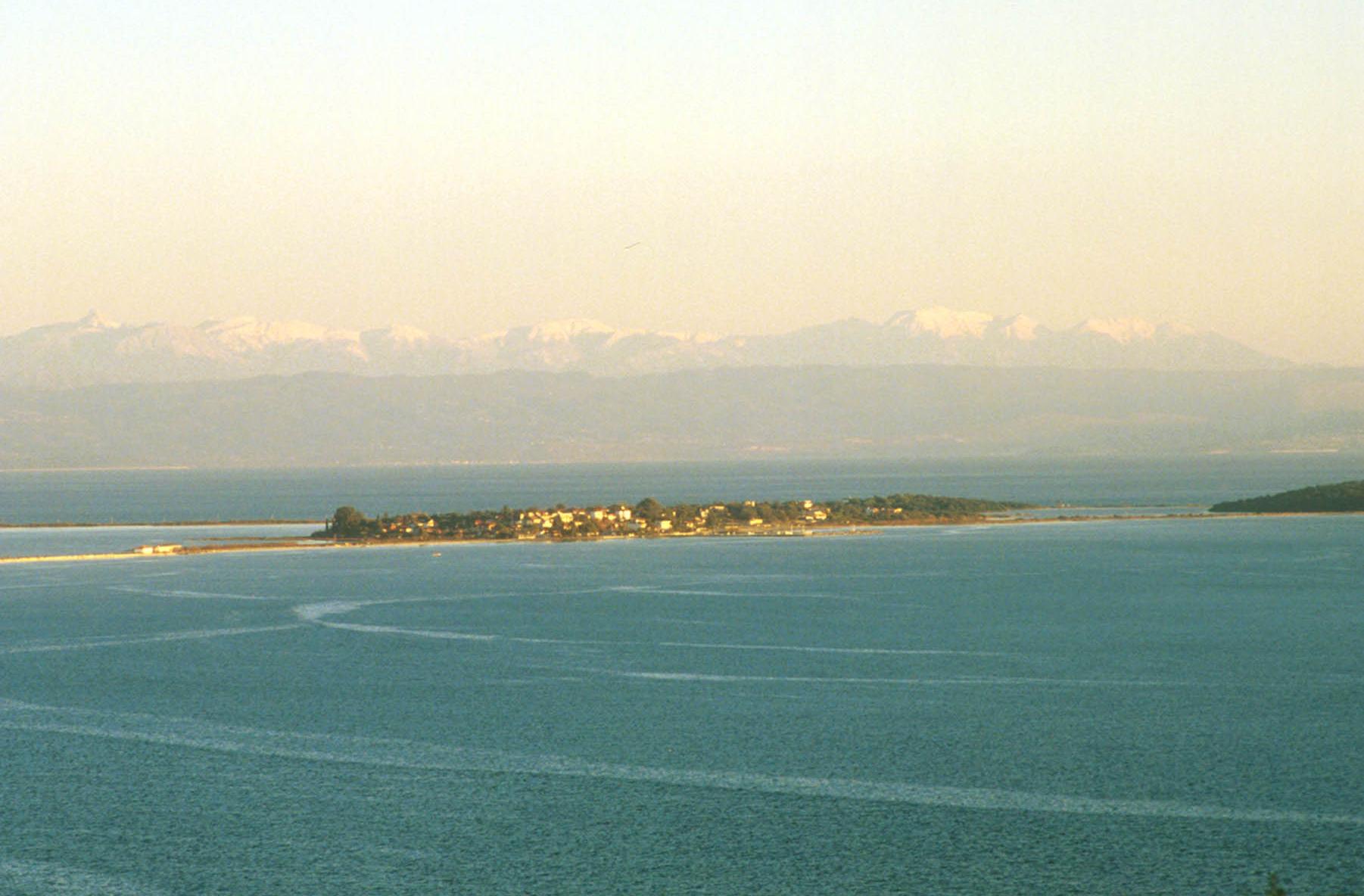 Πράσινο χαλί από φύκια πνίγει τον Αμβρακικό, καταστρέφει τους ψαράδες