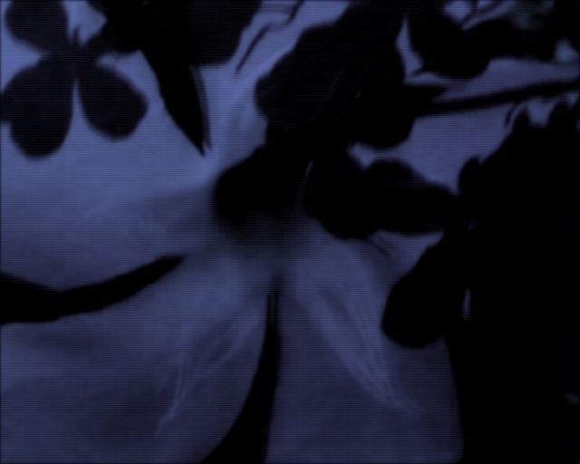 Ένας τυχαίος περίπατος στο δάσος «φιλοξενείται» σε χώρο τέχνης στο Θησείο