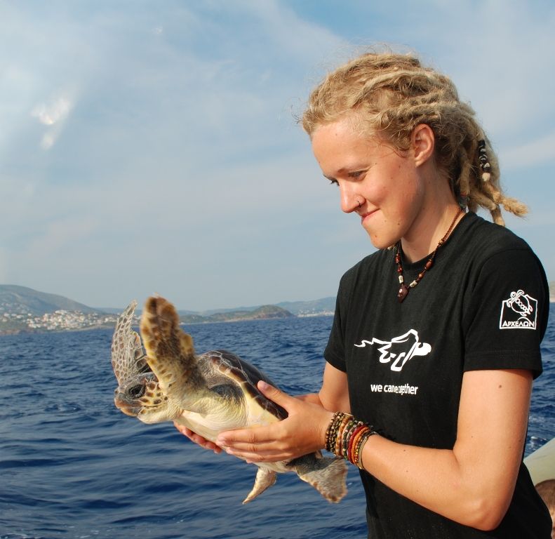 Ο ΑΡΧΕΛΩΝ απελευθέρωσε 7 θαλάσσιες χελώνες