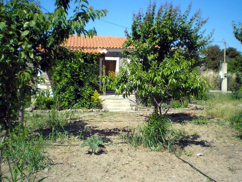 Σεμινάριο: «Ζω και Καλλιεργώ Βιολογικά» στη Λέσβο