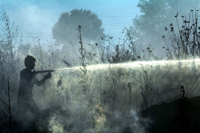 Σε εξέλιξη πυρκαγιές σε Ζάκυνθο και Πάτρα, δεν απειλούνται κατοικημένες περιοχές