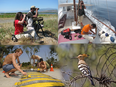 Θερινά Εθελοντικά Προγράμματα 2011 της Ορνιθολογικής Εταιρίας