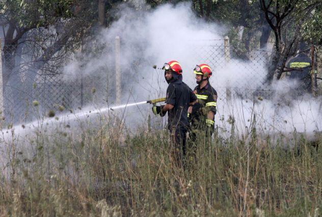 Πυρκαγιά σε δασική περιοχή της Λάρισας, υπό έλεγχο φωτιά στη Σαλαμίνα