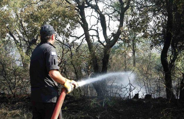 Υπό μερικό έλεγχο οι πυρκαγιές στα Στύρφακα Φθιώτιδας και στη Σαλαμίνα