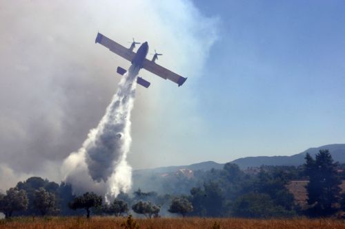 Μεγάλη πυρκαγιά σε δασική έκταση της Β.Εύβοιας – Ενδείξεις για εμπρησμό στην Κερατέα