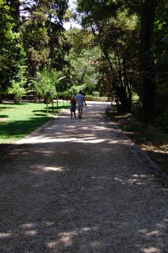 Αναβαθμίζονται οι υποδομές του Εθνικού Κήπου μετά την έγκριση της μελέτης του ΕΜΠ