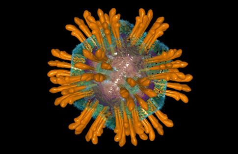 Το ένα τρίτο του παγκόσμιου πληθυσμού μολυσμένο με ηπατίτιδες