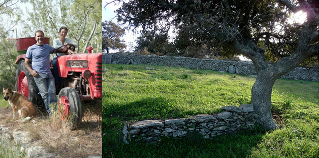 Ζήτω τα βελανίδια, ζήτω η Τζια!