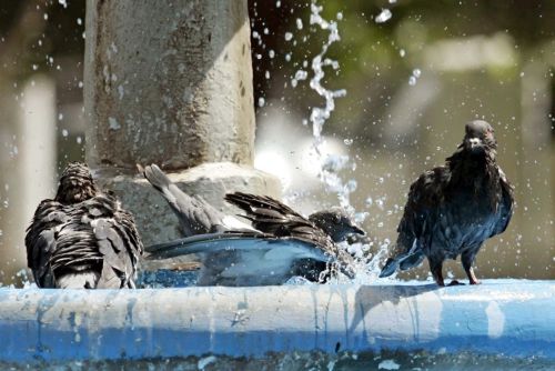 Ανάσα δροσιάς από την Πέμπτη μετά το κύμα καύσωνα