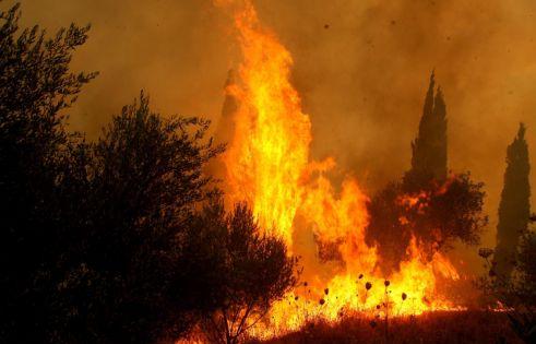 Υπό έλεγχο όλα τα πύρινα μέτωπα της χώρας