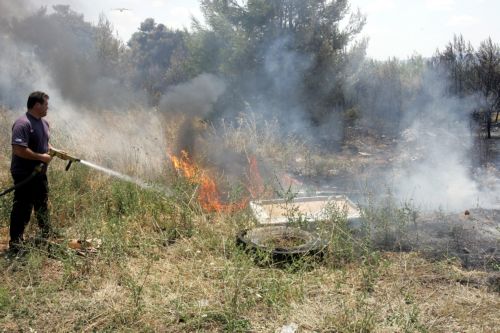 Ηλικιωμένος βρέθηκε απανθρακωμένος σε πυρκαγιά στη Λακωνία