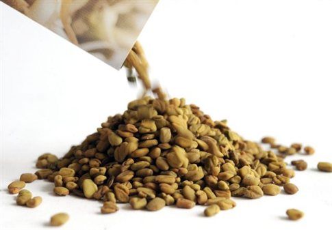 Και στην Ελλάδα οι σπόροι που ενοχοποιούνται για τις επιδημίες E.coli