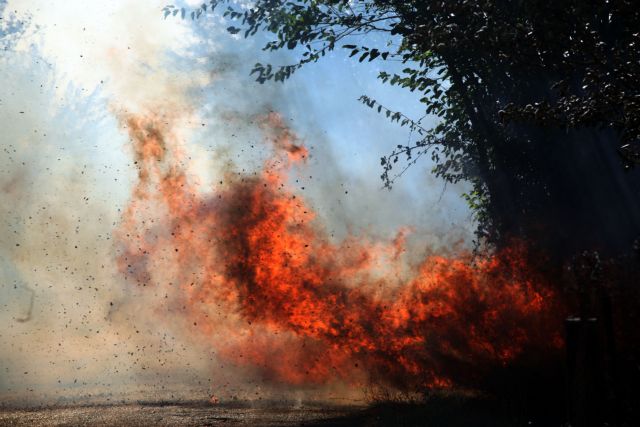 Χιλιάδες στρέμματα καμένα στον Έβρο, πυρκαγιές σε Αιτωλοακαρνανία και Χίο