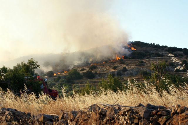 Πυρκαγιές σε Ιωάννινα και Άρτα, υπό έλεγχο τα υπόλοιπα μέτωπα