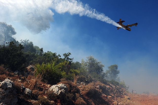 Προσαγωγές υπόπτων για τη μεγάλη φωτιά στον Κουβαρά Αττικής
