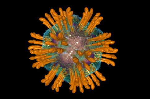 Εμβόλιο για την ηπατίτιδα C θα δοκιμαστεί σε ανθρώπους το 2012